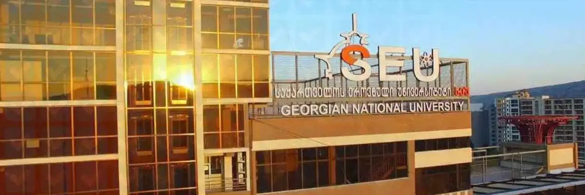 جامعة جورجيا الوطنية (SEU)